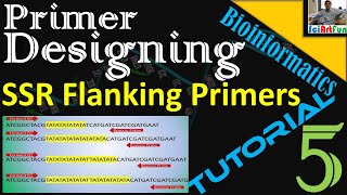 Primer Designing  SSR Flanking Primers With BatchPrimer3  Tutorial 5  When the Tool Doesnt Work [upl. by Htebasil581]