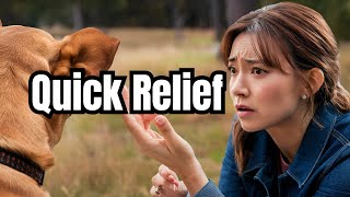 Tackling Tick Removal Best Practices for Keeping Your Dog TickFree [upl. by Cornel280]