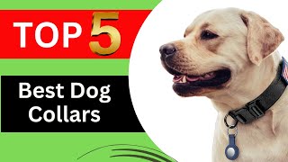 Top 5 Best Dog Collars for 2024 Benefits and Top Picks [upl. by Natika907]