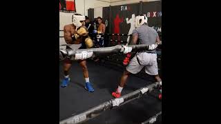 A Day In The Life of Jalil Major Hackett Sparring Day 2 Boxing [upl. by Qiratla]