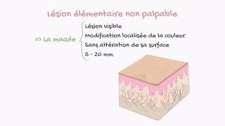 Lésions Élémentaires en Dermatologie Aperçu Incroyable en 1 Minute 🩺 [upl. by Mayda]