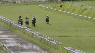 Course 2 PRIX MICHEL JACOBY KOALY 290924 [upl. by Eniamahs]