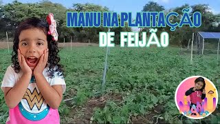 MANU AJUDANDO O PAPAI NA PLANTAÇÃO 🦋❤️DE FEIJÃO VEJA COMO E LIMPAR PLANTAÇÃO DE FEIJÃO ❤️❤️ [upl. by Eustacia54]