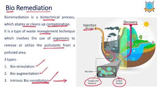 What is Bioremediation   Bioremediation అంటే ఏమిటి  La Excellence [upl. by Kreindler]