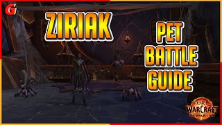 Ziriak Pet Battle Guide  Azj Kahet  The War Within [upl. by Canty787]