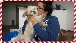 SINGING A COVER MY CRAFTING ROOM amp GOING HOME Vlogmas 1617 [upl. by Anirat]