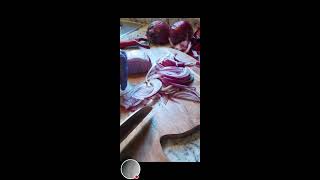 Sandy’s Mix Vlogs is live Chopped  Cutting a Red Unions asmr satisfying trending [upl. by Malet456]