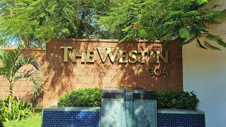 The Westin Goa  one of the best hotels in Goa  Luxury hotel near Anjuna beach [upl. by Ahsatsana126]