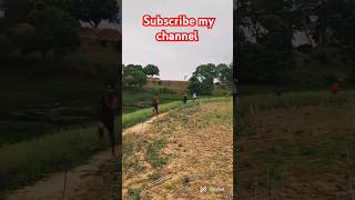 Running motivation short video army motivation video [upl. by Koenraad887]