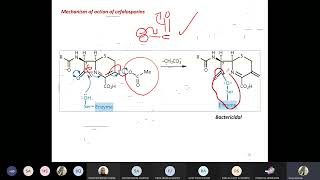 Medicinal 3 Cephalosporins [upl. by Rettuc47]