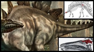 Was Stegosaurus the Dumbest Dinosaur  Prehistory in the Dark [upl. by Lorne981]