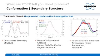 Basics of Protein Analysis and Secondary Structure Determination  FTIR Spectroscopy  Biosimilars [upl. by Keung682]