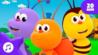 Discover Learn and Play 🐞 20 Min ⏰MIX 🌈 FOR KIDS  Boogie Bugs [upl. by Phillane]