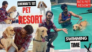 Day Out With Reggie  RC’s Pet Resort  Pet Restaurant  Dog Swimming Pool [upl. by Niveek420]