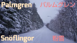 Palmgren Snöflingor Snowflakes  パルムグレン：粉雪 [upl. by Tebasile965]