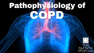 Pathophysiology of COPD [upl. by Hardunn]