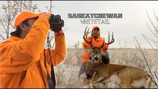 Big Saskatchewan Whitetail [upl. by Guimond]