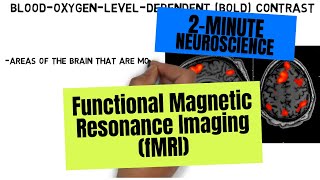 2Minute Neuroscience Functional Magnetic Resonance Imaging fMRI [upl. by Amedeo601]