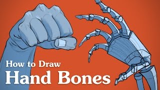 How to Draw Hand Bones  Drawing Anatomy for Artists [upl. by Noiram872]