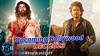 Top 5 Upcoming Bollywood Movies In December 2023  दिसम्बर मैं आने वाली बॉलीवुड की 5 फिल्मे [upl. by Gerry]