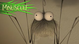 Minuscule  Mosquito net  Moustiquaire Season 2 [upl. by Aerdnu]