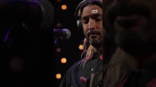 Feist Live on KEXP — OUT NOW [upl. by Sharos]