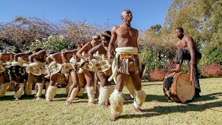 Zulu Dance Explosion A Powerhouse of Tradition and Agility in Every Step 🕺💃 [upl. by Ettevy]