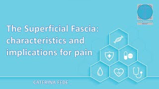 The Superficial Fascia its characteristics and implications for pain [upl. by Eserahc]