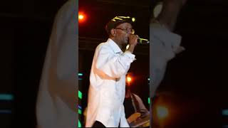 Beres Hammond Performing What One Dance Can Do At Rebel Salute 2016 [upl. by Goer]