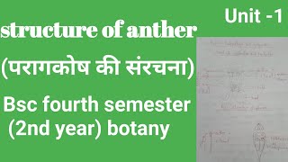 Bsc fourth semester botany Structure of anther first unit pollination and fertilization botany [upl. by Ydak187]