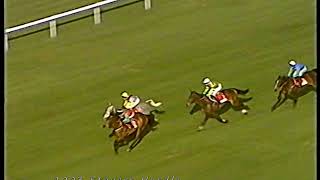 2003 Stayers Hurdle Baracouda [upl. by Babs341]