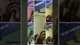 Mellophone fanfare🔥 [upl. by Sira]