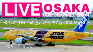 🔴 LIVE OSAKA ITAMI Airport  JAPAN  2024324 大阪伊丹空港 ライブカメラ [upl. by Delcina]