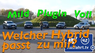 Welcher Hybrid passt zu mir Wie unterscheiden sich Mildhybrid PluginHybrid und Vollhybrid [upl. by Tawnya]