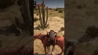 I turned my horse into a Pegasus for a few seconds reddeadredemption rdr2 [upl. by Hanae]