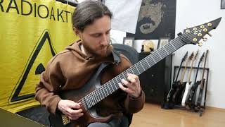 Fleshgod Apocalypse  Gravity Guitar Solo Cover [upl. by Rosenwald]