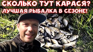 Сколько тут карася Лучшая рыбалка в сезоне [upl. by Tnaryb]