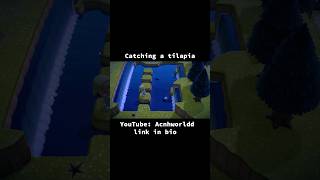 Fishing acnh edit youtubeshorts reels fishing instagram fish [upl. by Nivets]