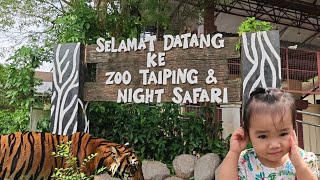 Taiping Zoo  Wild Ride At The Zoo  Roar Dec 2023 [upl. by Fellows]