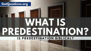 What is Predestination  Predestination in the Bible  GotQuestionsorg [upl. by Kylah]