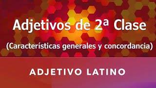 Adjetivos de la 2ª clase  Características generales y concordancia [upl. by Relyt299]