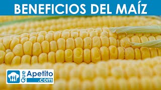 8 Propiedades y Beneficios del MAÍZ  QueApetito [upl. by Guerin]