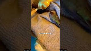 The Rescued Hummingbird Reluctant to Leaveshortvideo Hummingbird shortsAnimals Healing [upl. by Vona]