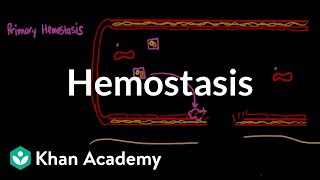 Hemostasis  Advanced hematologic system physiology  Health amp Medicine  Khan Academy [upl. by Herzen525]