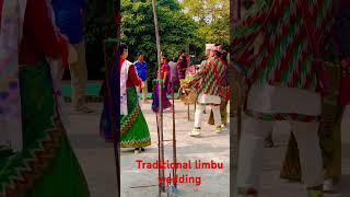 Traditional Limbu wedding shortsfeed love trending youtubeshorts ytshorts shorts video yt [upl. by Benedicto925]