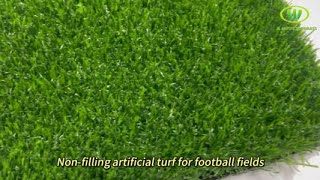 Did you know that synthetic grass does not need to be filled with rubber particles [upl. by Nollahs930]