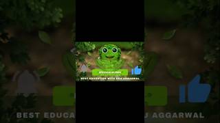 lifecyclefrogfroglifecyclebesteducationaruaggarwalsciencelifecyclefrog [upl. by Everett]