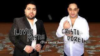 LIVIU PUSTIU amp CRISTI DOREL  DIN CAUZA BANILOR  Official Audio [upl. by Reinwald212]