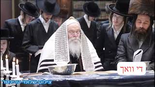 Kretchnif Rebbe Reading megillah  Purim 5784 [upl. by Burchett486]