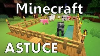 Minecraft  Comment faire de lElevage [upl. by Olocin97]